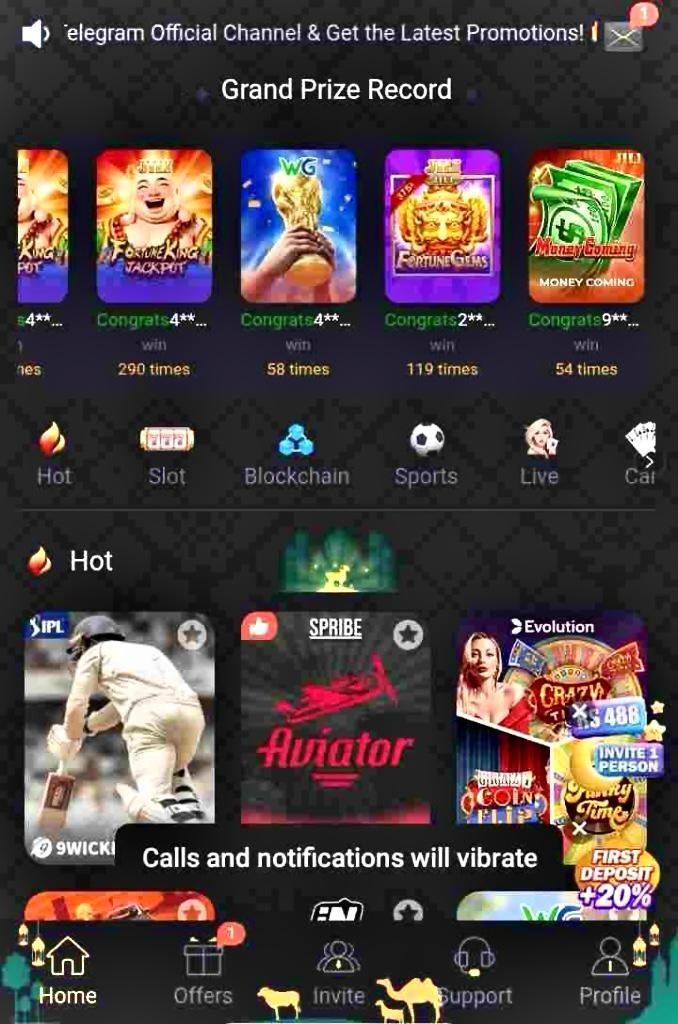 dp777-game